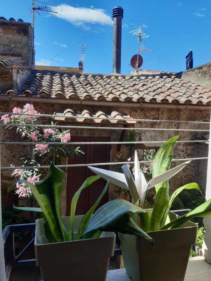 Casa Il Girasole Pitigliano Lägenhet Exteriör bild