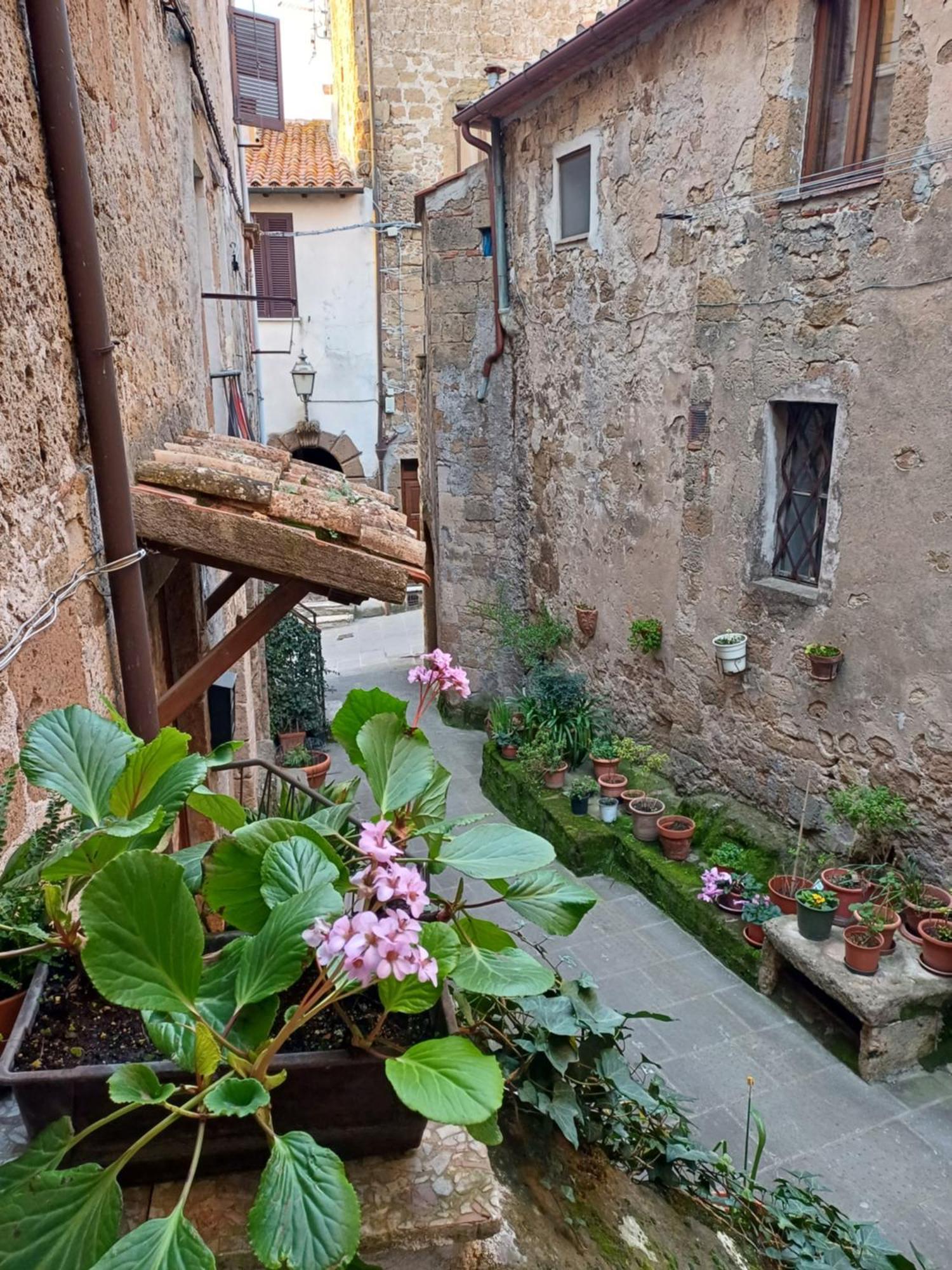 Casa Il Girasole Pitigliano Lägenhet Exteriör bild